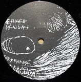 Pavement - Watery, Domestic