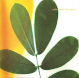 Jack Johnson - In Between Dreams