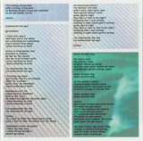 Limp Bizkit - Results May Vary