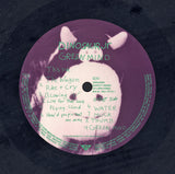 Dinosaur Jr. - Green Mind