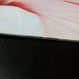 My Bloody Valentine - Isn't Anything