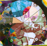 The Flaming Lips - Transmissions From The Satellite Heart