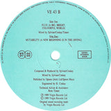 David Sylvian - Flux + Mutability