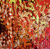 Coil - Love's Secret Domain