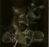 Gloria Estefan - Mi Tierra