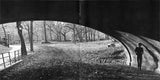 Sara K. - Closer Than They Appear