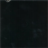 Guns N' Roses - "The Spaghetti Incident?"