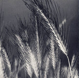 The Future Sound Of London - Dead Cities