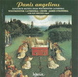 Westminster Cathedral Choir - Panis Angelicus (Favourite Motets From Westminster Cathedral)