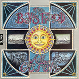 The Bevis Frond - Any Gas Faster