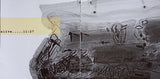 Liudas Mockūnas - Silent Vociferation
