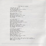 Jay Leonhart - Salamander Pie