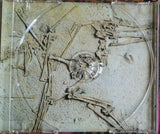 Acid Visions - CD-Zero