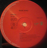 Rare Bird - Rare Bird