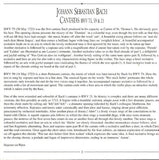 Johann Sebastian Bach - Cantatas = Kantaten Vol. X