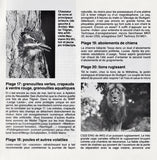 Various - Stakkato 2 - Le Second Test D'écoute AUDIO