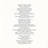 Paul Simon - The Rhythm Of The Saints