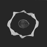 Epidermis - Genius Of Original Force