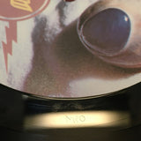 Pixies - Trompe Le Monde