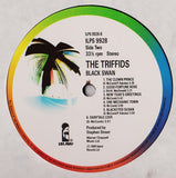 The Triffids - The Triffids Present The Black Swan
