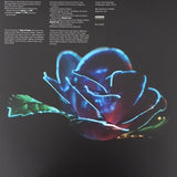 Beach House - Depression Cherry