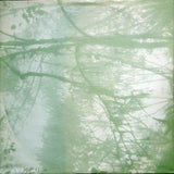 In The Nursery - Köda