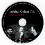 Avishai Cohen Trio - Gently Disturbed