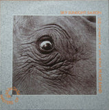 Sky Sunlight Saxon Universal Stars Peace Band - Masters Of Psychedelia