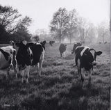 Pink Floyd - Atom Heart Mother