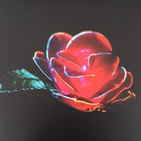 Beach House - Depression Cherry