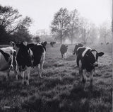 Pink Floyd - Atom Heart Mother