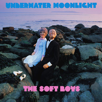 The Soft Boys - Underwater Moonlight