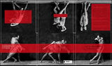 Various - Tango Desnudo