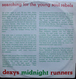 Searching For The Young Soul Rebels